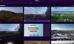 白白色免费视频,独家内容与观看体验全解析